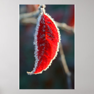 Kristalllined Frost Covered Red Leaf Foliage Poster