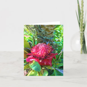 Kristin Kaffeezubereitung Blume Dankeskarte