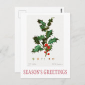 KRISTMAS POSTCARD DER SAISON-GREETINGS POSTKARTE (Vorne/Hinten)