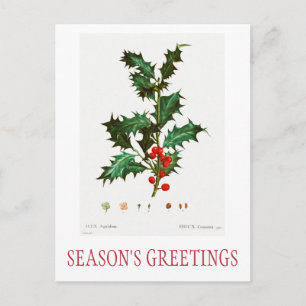 KRISTMAS POSTCARD DER SAISON-GREETINGS POSTKARTE