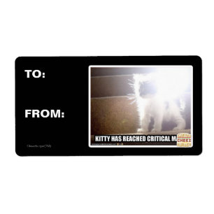 Kritische Masse Kitty