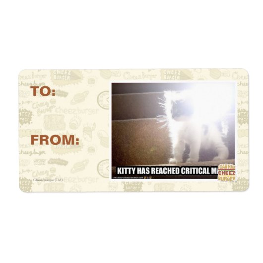 Kritische Masse Kitty (Vorne)