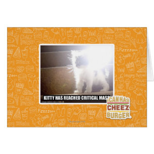 Kritische Masse Kitty