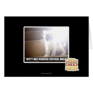 Kritische Masse Kitty