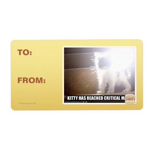 Kritische Masse Kitty (Vorne)