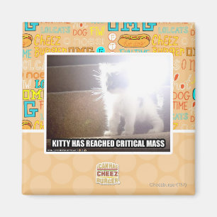 Kritische Masse Kitty Magnet