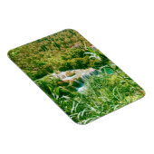 Krka-Nationalpark Magnet (Rechte Seite)