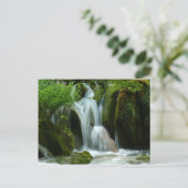 Kroatien-780 Postkarte (Stehend Vorderseite)