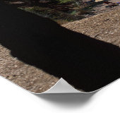 Kroatien, Brac Island, Bol, Golden Cape Beach Poster (Ecke)