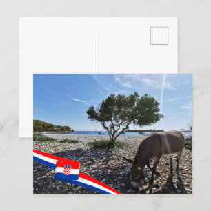 Kroatien Hrvatska Adria Donkey Postkarte