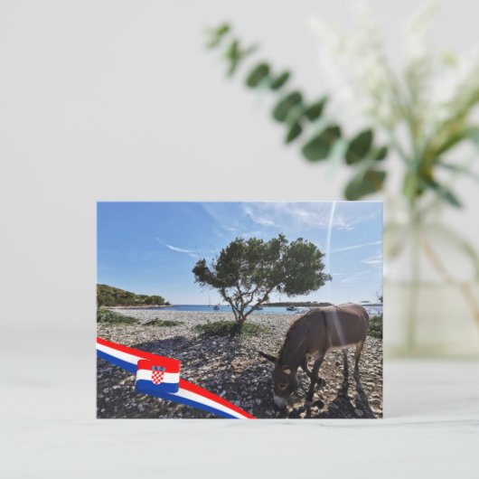 Kroatien | Hrvatska | Adria | Donkey Postkarte (Stehend Vorderseite)