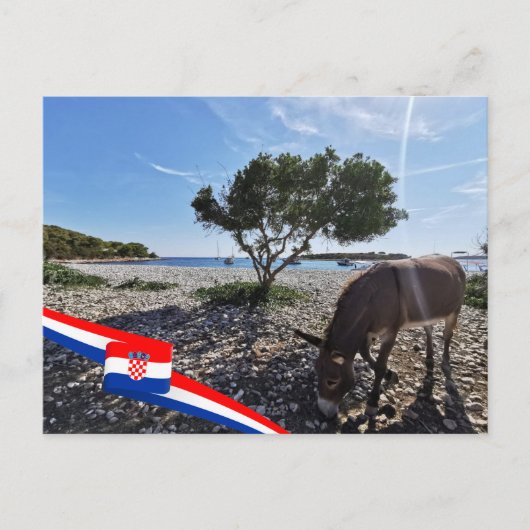 Kroatien | Hrvatska | Adria | Donkey Postkarte (Vorderseite)
