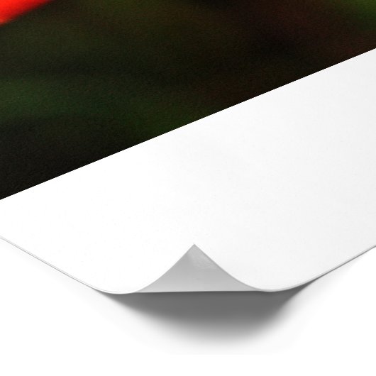 Krocketposter Poster (Ecke)