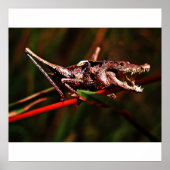 Krocketposter Poster (Vorne)