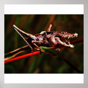 Krocketposter Poster