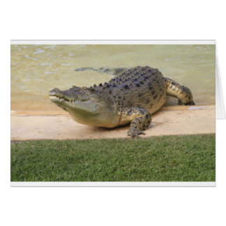 Krokodil