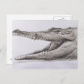 Krokodil 2005 postkarte (Vorne/Hinten)