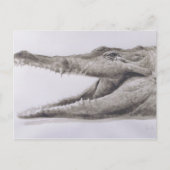Krokodil 2005 postkarte (Vorderseite)