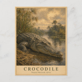 Krokodil Afrikanische Feuchtgebiete VINTAGE Postkarte