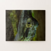 Krokodil-Baby Schwimmen im Wasser Puzzle (Horizontal)