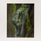 Krokodil-Baby Schwimmen im Wasser Puzzle (Vertikal)