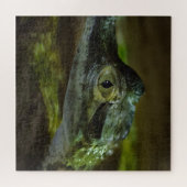 Krokodil-Baby Schwimmen im Wasser Puzzle (Horizontal)