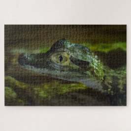 Krokodil-Baby Schwimmen im Wasser Puzzle