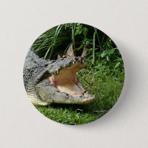 Krokodil Button
