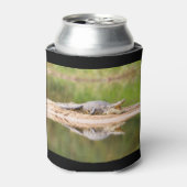 Krokodil Dosenkühler (Kanne Vorderseite)