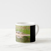 Krokodil Espressotasse (Vorderseite Rechts)