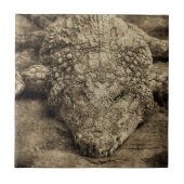 Krokodil Fliese (Vorderseite)