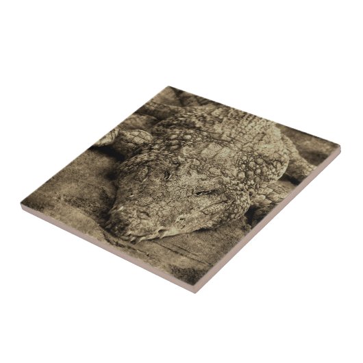 Krokodil Fliese (Seite)