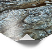 Krokodil Fotodruck (Ecke)