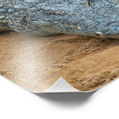 Krokodil Fotodruck (Ecke)