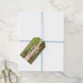 Krokodil Geschenkanhänger (Mit Garn)