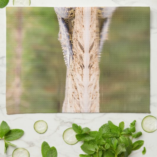 Krokodil Geschirrtuch (Gefaltet)