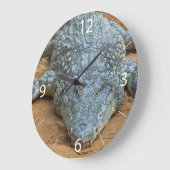 Krokodil Große Wanduhr (Winkel)