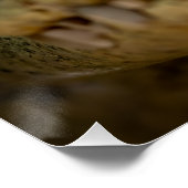 Krokodil im Wasser Poster (Ecke)