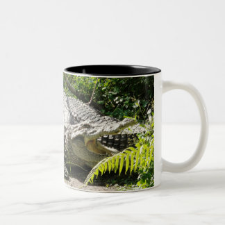 Krokodil-Kaffee-Tasse Zweifarbige Tasse