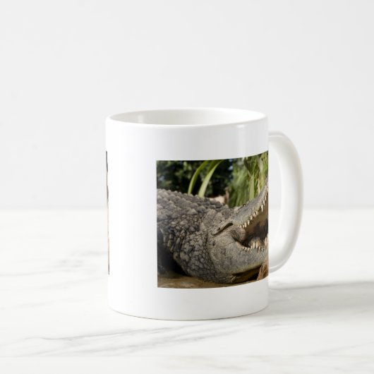 Krokodil Kaffeetasse (VorderseiteRechts)