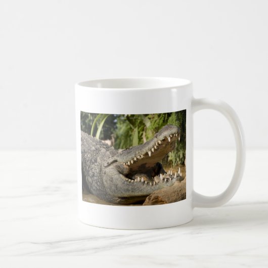Krokodil Kaffeetasse (Rechts)