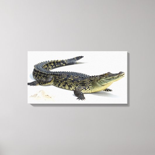 Krokodil Leinwanddruck (Vorderseite)