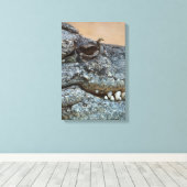 Krokodil Leinwanddruck (Insitu (Holzboden))
