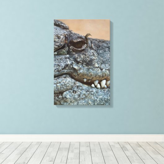 Krokodil Leinwanddruck (Insitu (Holzboden))