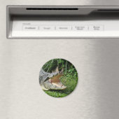 Krokodil Magnet (In Situ (Geschirrspüler))