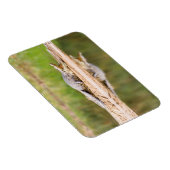 Krokodil Magnet (Rechte Seite)