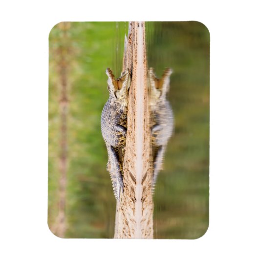 Krokodil Magnet (Vertikal)