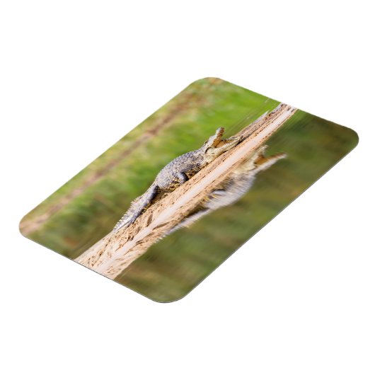 Krokodil Magnet (Linke Seite)