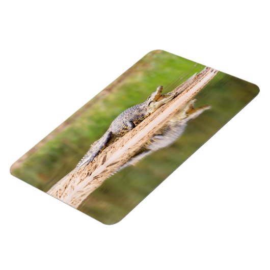 Krokodil Magnet (Linke Seite)