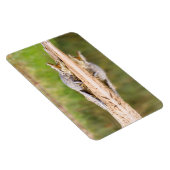 Krokodil Magnet (Rechte Seite)